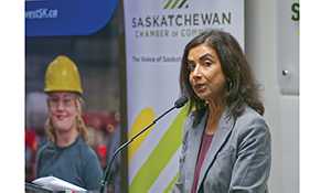 Deadline for $5,000 young  entrepreneur bursary next week 